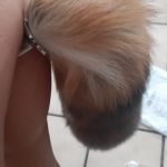 17" Wolf Tail Butt Plug, Faux Fur Anal Plug, Sex Toys photo review